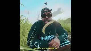Kekuli | Costa X Tikx Kooda