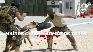 Être MAÎTRE-CHIEN dans L’ARMÉE