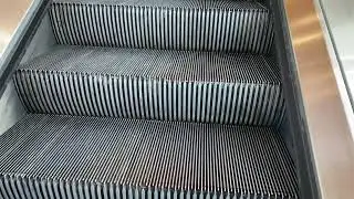 AMAZING & RARE Schindler Haughton escalators @ Southeast Financial Center Downtown Miami, FL