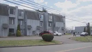 Armed intruders break into East Haven home looking to steal expensive cat: police