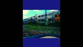 SYDNEY.GRAFFITI.2010.SECS.  RILS.PHEAZY.JUSLO.