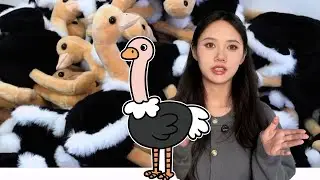 8,000 oem plush ostriches and camels for Middle East customers have been shipped!#dog toys OEM