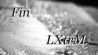 Fin - LXtrM