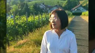 The Sunset at the vineyards of Kolbenz, Germany@tonyleung3220