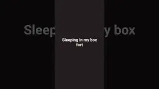 sleeping in my box fort