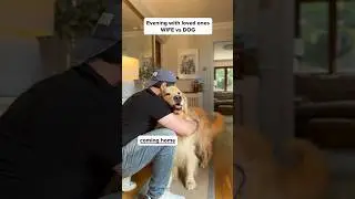 Храп Марли поражает воображение🐶Он обожает свой рецепт говядины от @openfarmpet!😋 #openfarmpartne...