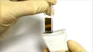 iNANOvative&trade; suspension changes color near magnet