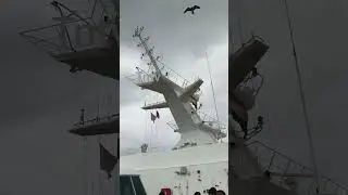 #cruisetrip 