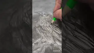 Desenhando um p&aacute;ssaro no grafite 
