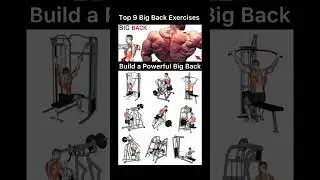 Back Workout: Build a Powerful Big Back | #bigbackworkout #exercisemotivation #shortvideo #fitness