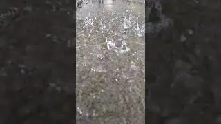 #foryou #viraltiktok #viral #viralsong #fashion #baran #rain