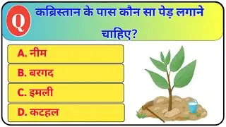 GK Question || GK In Hindi || GK Question and Answer || GK Quiz || BDR GK STUDY ||