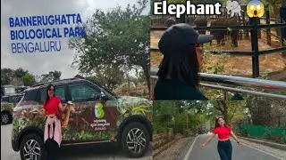 A fun day at Bangalore Bannerghatta Zoo with friends 🐯🌿🦁