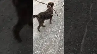 Just testing how to upload