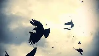 laisse aller- video clip - Pascal Rinaldi
