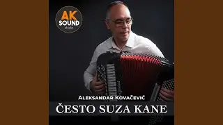 Cesto suza kane