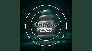 Pure M&eacute;ditation