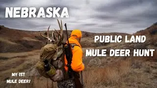 Охота на мула в Небраске на общественных землях! Мой первый мул в жизни!