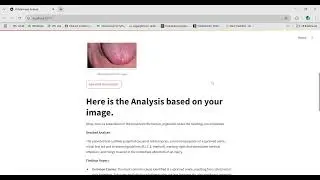 Virtual Image Analyist
