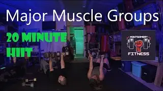 Major Muscle Groups Full Body Workout ( HIIT Workout ) For Beginners