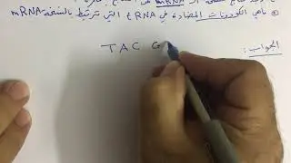 ترتيب القواعد النتروجينية قصي النداوي