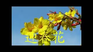 Winter Jasmine (2026)
