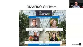Energy-efficient growing under light abatement curtains