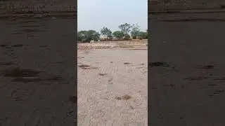 ICF train Reaching Chandigarh junction #railway  indian railway