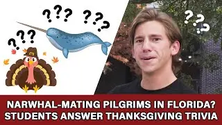 Narwhal-Mating Pilgrims in Florida? Students Answer Thanksgiving Trivia
