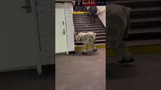 Subway Creatures: Scenes from NYC Subway