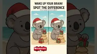 🔍 Spot the Difference | Koala Gift Guard