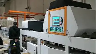 orange sorting line