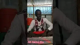very strong Dinka Poems