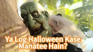 Ya Log Halloween Kase Manatee Hain? #halloweendubai#halloween#dubai #dubaihalloween #dubaimums #uae 