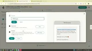 Mailchimp SMS Campaign 2024 STOP Making This Costly Mistake!