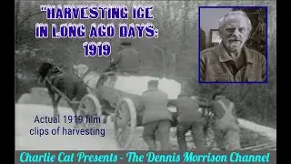ICE HARVESTING IN DAYS  LONG GONE: CIRCA 1900/1919 #industry #winter work