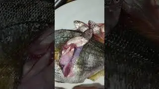 I want to share the moment of truth