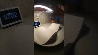 Treflip the entire roller gap SlowMo #fingereverything #shorts