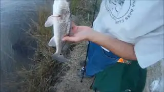 Bad Day Good Day, Fishing Grand Bayou