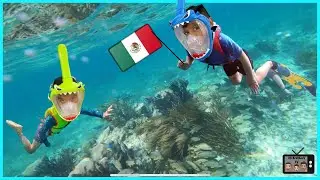 Kids Snorkeling in Cancun | OhBrothersTV Family Vacation