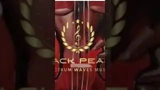 Spectrum Waves Music Entertainment #music