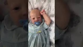 Alma Awake Realborn Reborn Baby