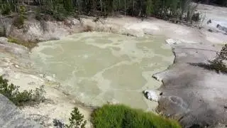Sulphur Caldron, Yellowstone