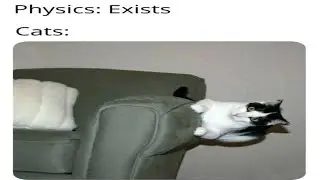 Offensive memes but if you laugh you lose 183