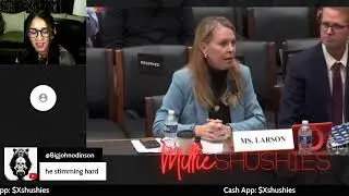 James Okeefe goes under cover DAVOS, Nick Shirley Congress hearing