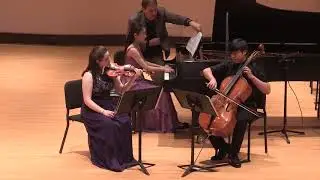 Odysseus Trio in the National Discover Chamber Music Competition 2017