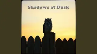 Shadows at Dusk