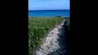 Tilloo Cay trip