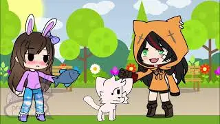 Budsforbuddies try to kill cat with Chocolate.but Eva save a smart cat(old)