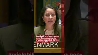 Inviolability of borders non-negotiable, sovereignty must be respected: Danish envoy at UNSC